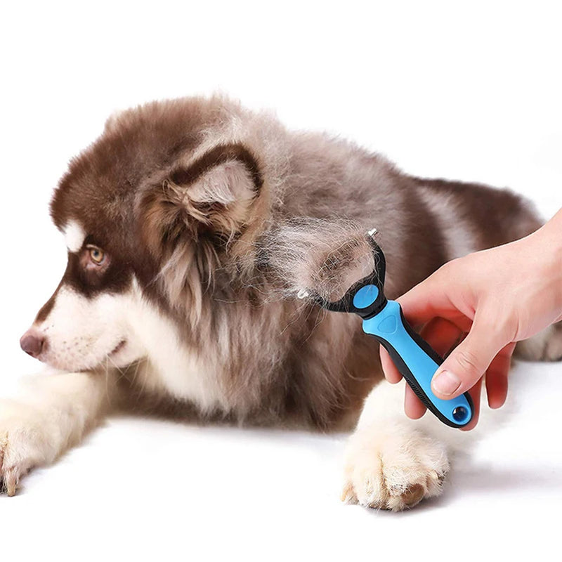 Cão removedor de cabelo pente pet