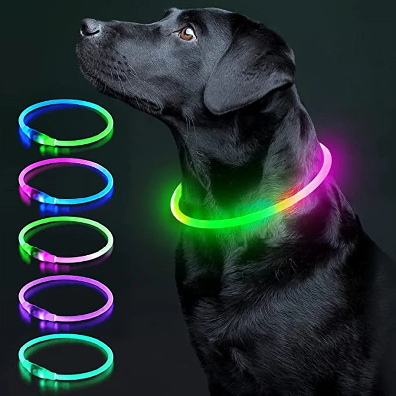 Coleira Luminosa USB Recarregável para Animais de Estimação