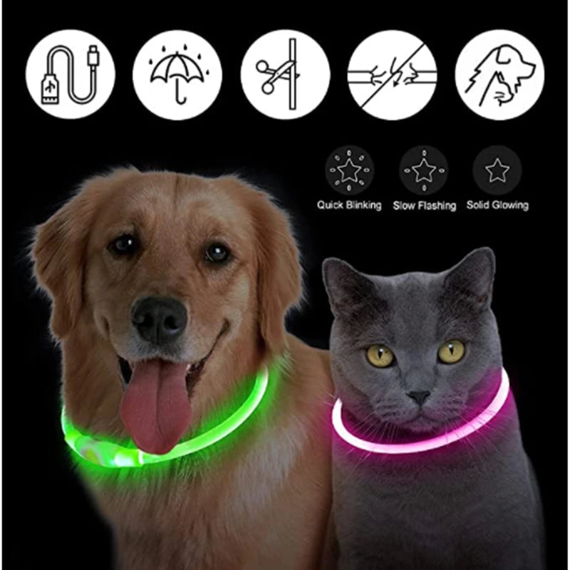 Coleira Luminosa USB Recarregável para Animais de Estimação