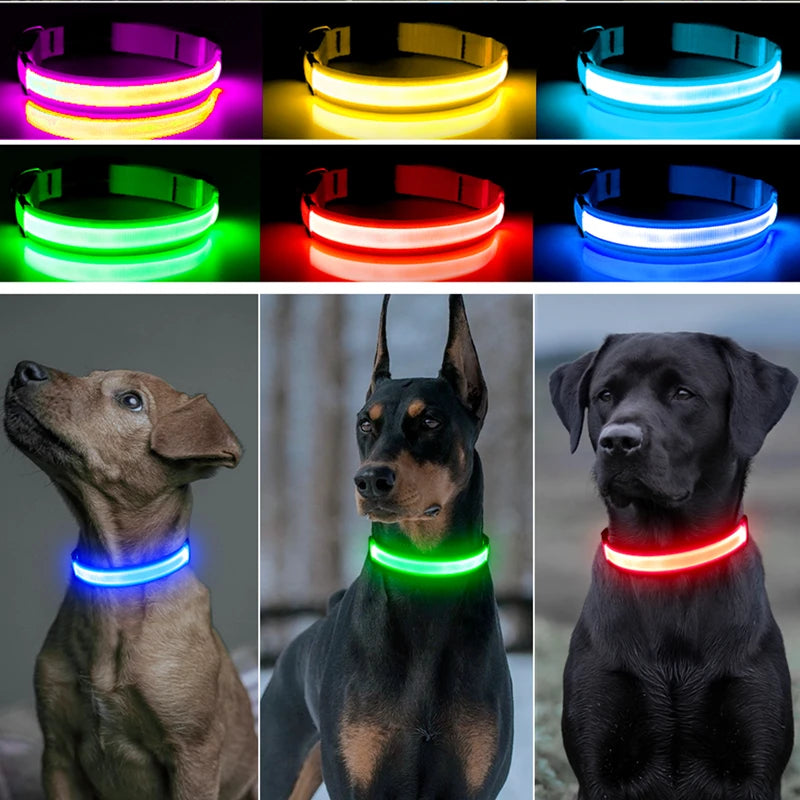 Coleira Luminosa USB Recarregável para Animais de Estimação