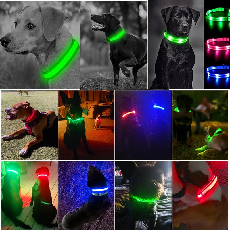 Coleira Luminosa USB Recarregável para Animais de Estimação